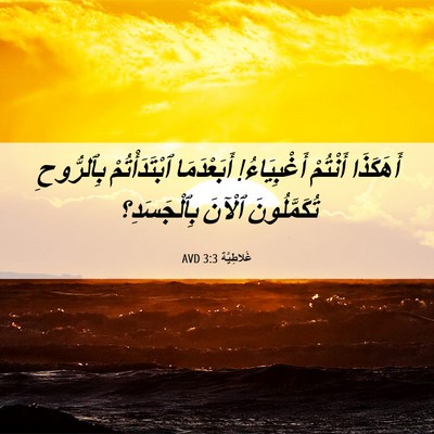 Picture 06 - غَلاطِيَّة 3:3 AVD - أَهَكَذَا أَنْتُمْ - Bible Verse Picture