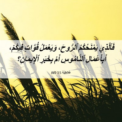 Picture 06 - غَلاطِيَّة 3:5 AVD - فَٱلَّذِي يَمْنَحُكُمُ - Bible Verse Picture