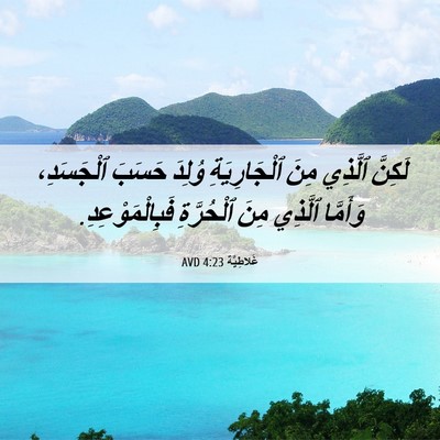 Picture 06 - غَلاطِيَّة 4:23 AVD - لَكِنَّ ٱلَّذِي مِنَ - Bible Verse Picture