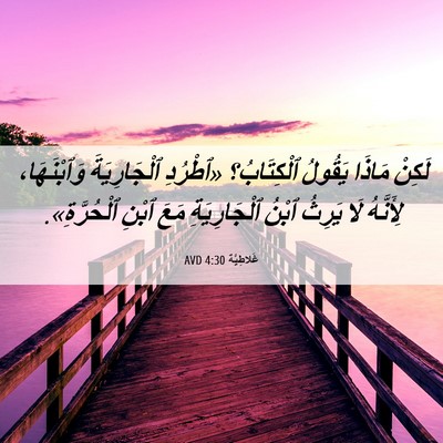 Picture 06 - غَلاطِيَّة 4:30 AVD - لَكِنْ مَاذَا يَقُولُ - Bible Verse Picture