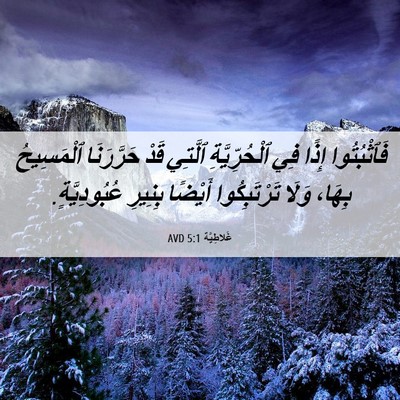 Picture 06 - غَلاطِيَّة 5:1 AVD - فَٱثْبُتُوا إِذًا فِي - Bible Verse Picture