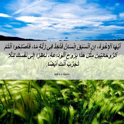 Picture 06 - غَلاطِيَّة 6:1 AVD - أَيُّهَا ٱلْإِخْوَةُ، - Bible Verse Picture