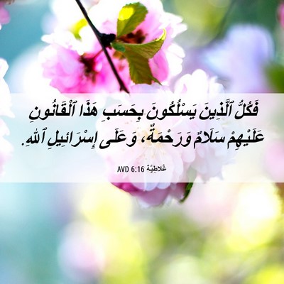 Picture 06 - غَلاطِيَّة 6:16 AVD - فَكُلُّ ٱلَّذِينَ - Bible Verse Picture