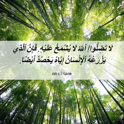 Picture 06 - غَلاطِيَّة 6:7 AVD - لَا تَضِلُّوا! ٱللهُ لَا - Bible Verse Picture