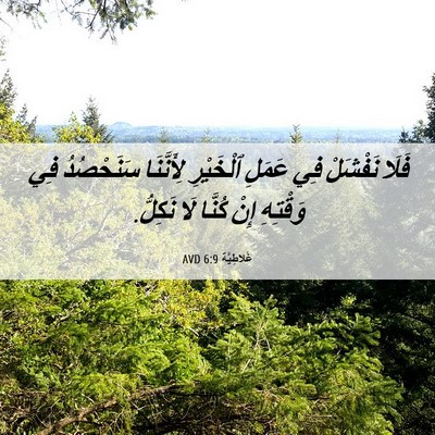 Picture 06 - غَلاطِيَّة 6:9 AVD - فَلَا نَفْشَلْ فِي عَمَلِ - Bible Verse Picture