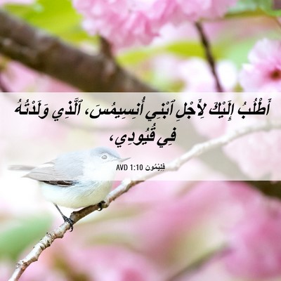 Picture 06 - فِلِيْمُون 1:10 AVD - أَطْلُبُ إِلَيْكَ - Bible Verse Picture