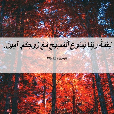 Picture 06 - فِلِيْمُون 1:25 AVD - نِعْمَةُ رَبِّنَا يَسُوعَ - Bible Verse Picture