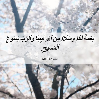 Picture 06 - فِلِيْمُون 1:3 AVD - نِعْمَةٌ لَكُمْ وَسَلَامٌ - Bible Verse Picture