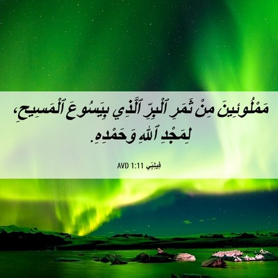 Picture 06 - فِيلِبِّي 1:11 AVD - مَمْلُوئِينَ مِنْ ثَمَرِ - Bible Verse Picture