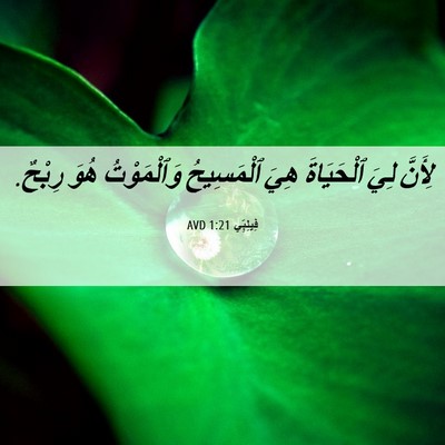 Picture 06 - فِيلِبِّي 1:21 AVD - لِأَنَّ لِيَ ٱلْحَيَاةَ - Bible Verse Picture