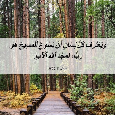 Picture 06 - فِيلِبِّي 2:11 AVD - وَيَعْتَرِفَ كُلُّ - Bible Verse Picture