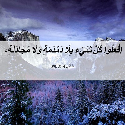Picture 06 - فِيلِبِّي 2:14 AVD - اِفْعَلُوا كُلَّ شَيْءٍ - Bible Verse Picture