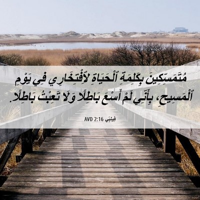 Picture 06 - فِيلِبِّي 2:16 AVD - مُتَمَسِّكِينَ بِكَلِمَةِ - Bible Verse Picture