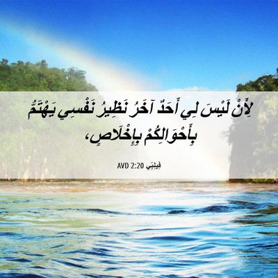 Picture 06 - فِيلِبِّي 2:20 AVD - لِأَنْ لَيْسَ لِي أَحَدٌ - Bible Verse Picture