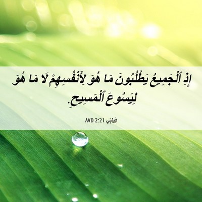 Picture 06 - فِيلِبِّي 2:21 AVD - إِذِ ٱلْجَمِيعُ - Bible Verse Picture