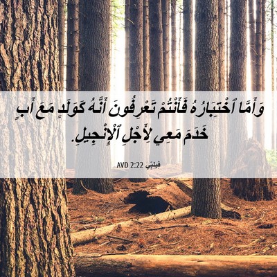 Picture 06 - فِيلِبِّي 2:22 AVD - وَأَمَّا ٱخْتِبَارُهُ - Bible Verse Picture
