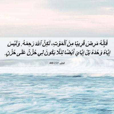 Picture 06 - فِيلِبِّي 2:27 AVD - فَإِنَّهُ مَرِضَ قَرِيبًا - Bible Verse Picture