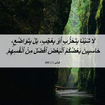 Picture 06 - فِيلِبِّي 2:3 AVD - لَا شَيْئًا بِتَحَزُّبٍ - Bible Verse Picture