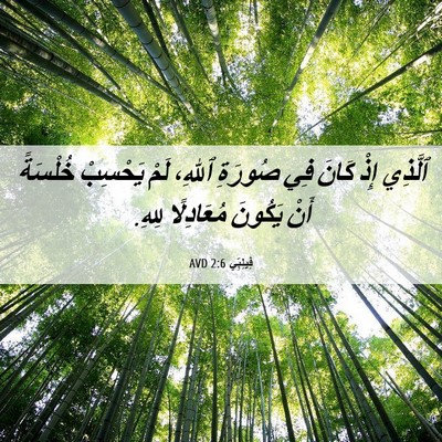 Picture 06 - فِيلِبِّي 2:6 AVD - ٱلَّذِي إِذْ كَانَ فِي - Bible Verse Picture