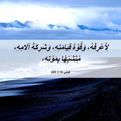 Picture 06 - فِيلِبِّي 3:10 AVD - لِأَعْرِفَهُ، وَقُوَّةَ - Bible Verse Picture