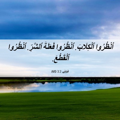 Picture 06 - فِيلِبِّي 3:2 AVD - اُنْظُرُوا ٱلْكِلَابَ. - Bible Verse Picture