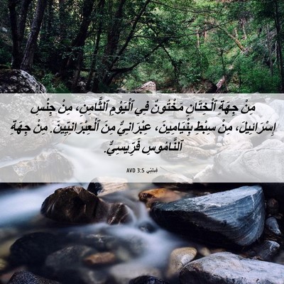 Picture 06 - فِيلِبِّي 3:5 AVD - مِنْ جِهَةِ ٱلْخِتَانِ - Bible Verse Picture