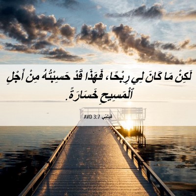Picture 06 - فِيلِبِّي 3:7 AVD - لَكِنْ مَا كَانَ لِي - Bible Verse Picture