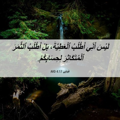Picture 06 - فِيلِبِّي 4:17 AVD - لَيْسَ أَنِّي أَطْلُبُ - Bible Verse Picture