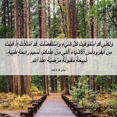 Picture 06 - فِيلِبِّي 4:18 AVD - وَلَكِنِّي قَدِ - Bible Verse Picture
