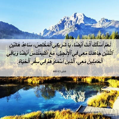 Picture 06 - فِيلِبِّي 4:3 AVD - نَعَمْ أَسْأَلُكَ أَنْتَ - Bible Verse Picture