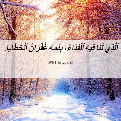 Picture 06 - كُولُوسِي 1:14 AVD - ٱلَّذِي لَنَا فِيهِ - Bible Verse Picture