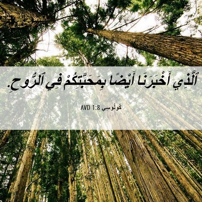 Picture 06 - كُولُوسِي 1:8 AVD - ٱلَّذِي أَخْبَرَنَا - Bible Verse Picture