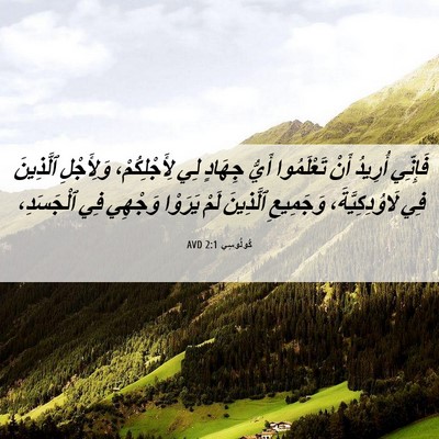 Picture 06 - كُولُوسِي 2:1 AVD - فَإِنِّي أُرِيدُ أَنْ - Bible Verse Picture