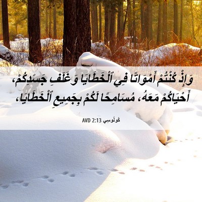 Picture 06 - كُولُوسِي 2:13 AVD - وَإِذْ كُنْتُمْ - Bible Verse Picture