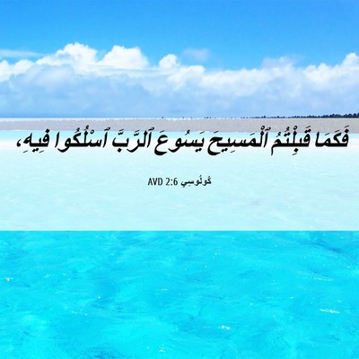 Picture 06 - كُولُوسِي 2:6 AVD - فَكَمَا قَبِلْتُمُ - Bible Verse Picture