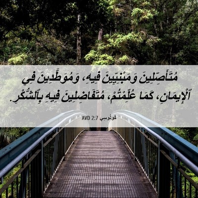 Picture 06 - كُولُوسِي 2:7 AVD - مُتَأَصِّلِينَ - Bible Verse Picture