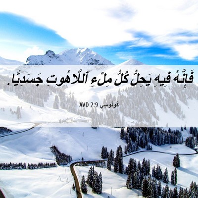 Picture 06 - كُولُوسِي 2:9 AVD - فَإِنَّهُ فِيهِ يَحِلُّ - Bible Verse Picture