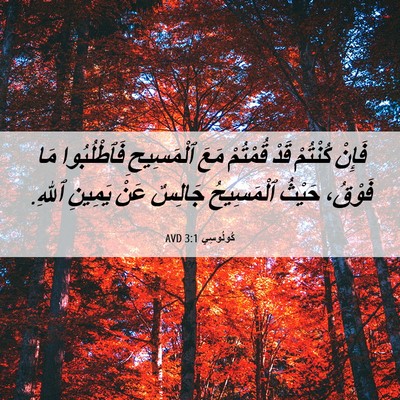 Picture 06 - كُولُوسِي 3:1 AVD - فَإِنْ كُنْتُمْ قَدْ - Bible Verse Picture