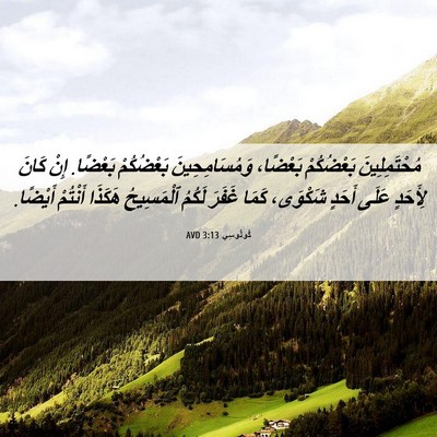 Picture 06 - كُولُوسِي 3:13 AVD - مُحْتَمِلِينَ بَعْضُكُمْ - Bible Verse Picture