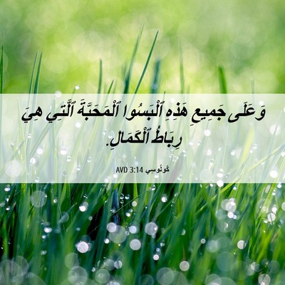 Picture 06 - كُولُوسِي 3:14 AVD - وَعَلَى جَمِيعِ هَذِهِ - Bible Verse Picture