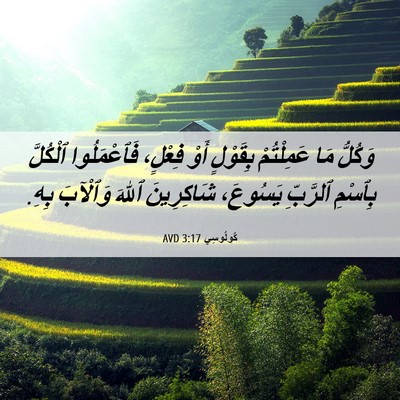 Picture 06 - كُولُوسِي 3:17 AVD - وَكُلُّ مَا عَمِلْتُمْ - Bible Verse Picture