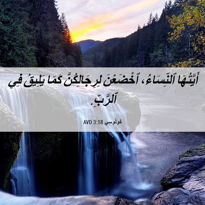 Picture 06 - كُولُوسِي 3:18 AVD - أَيَّتُهَا ٱلنِّسَاءُ، - Bible Verse Picture