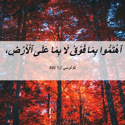 Picture 06 - كُولُوسِي 3:2 AVD - ٱهْتَمُّوا بِمَا فَوْقُ - Bible Verse Picture