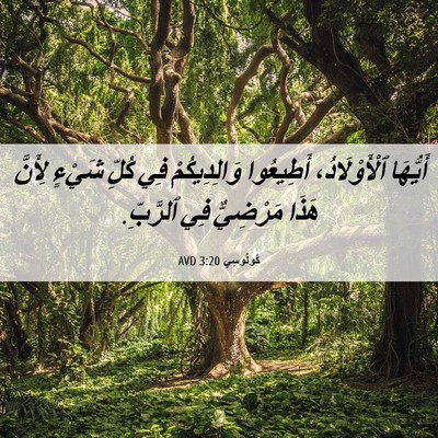 Picture 06 - كُولُوسِي 3:20 AVD - أَيُّهَا ٱلْأَوْلَادُ، - Bible Verse Picture