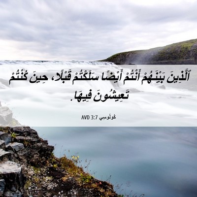 Picture 06 - كُولُوسِي 3:7 AVD - ٱلَّذِينَ بَيْنَهُمْ - Bible Verse Picture