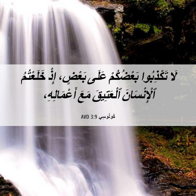 Picture 06 - كُولُوسِي 3:9 AVD - لَا تَكْذِبُوا بَعْضُكُمْ - Bible Verse Picture