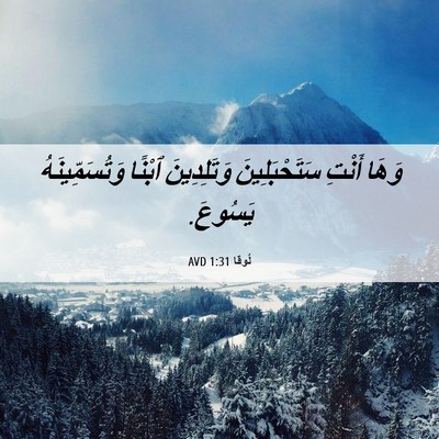 Picture 06 - لُوقا 1:31 AVD - وَهَا أَنْتِ - Bible Verse Picture