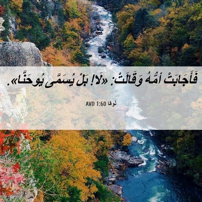 Picture 06 - لُوقا 1:60 AVD - فَأَجَابَتْ أمُّهُ - Bible Verse Picture