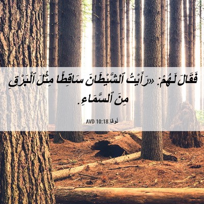 Picture 06 - لُوقا 10:18 AVD - فَقَالَ لَهُمْ: «رَأَيْتُ - Bible Verse Picture