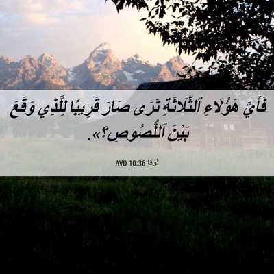 Picture 06 - لُوقا 10:36 AVD - فَأَيَّ هَؤُلَاءِ - Bible Verse Picture